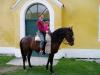 Lilienhof 270805 039